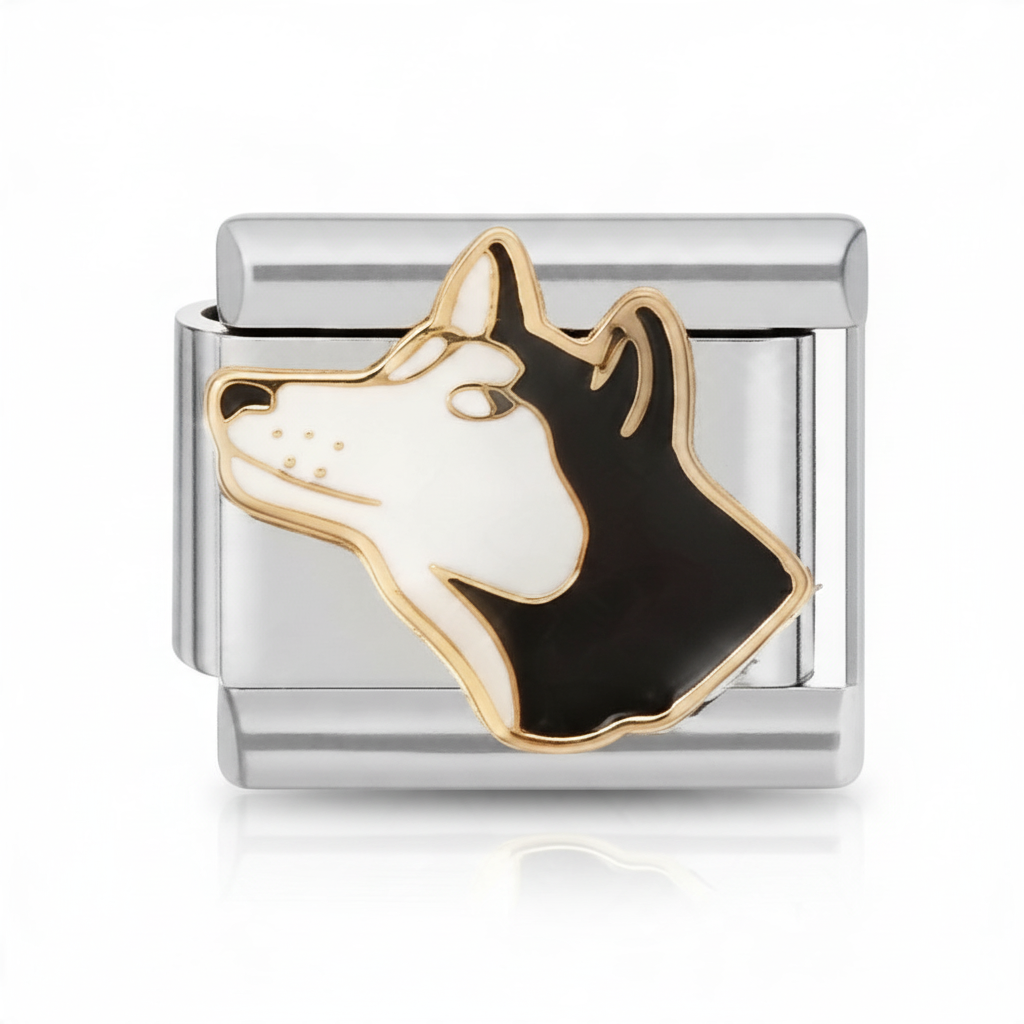 Charm perro husky