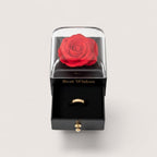 Magillas preserved red rose jewelry gift box with a matte black base, clear dome, and pull-out ring drawer.