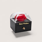 Magillas preserved red rose jewelry gift box with a clear dome and black pull-out drawer for rings or necklaces.